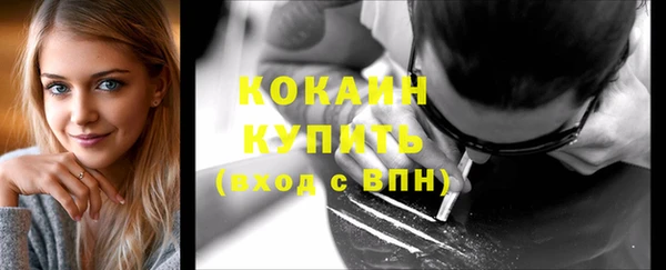 молекула духа Строитель