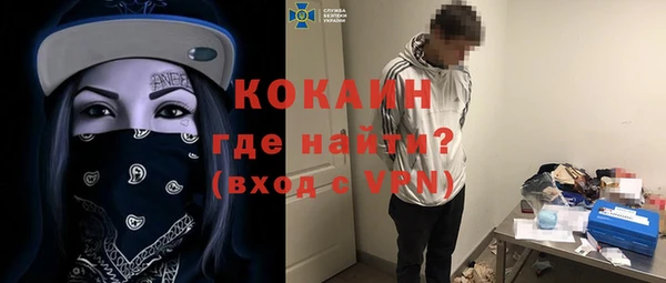 шишки Аркадак