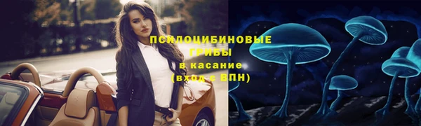 шишки Аркадак