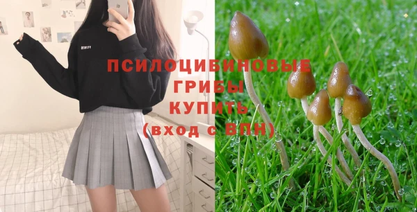 круглые Армянск