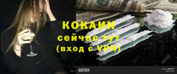 шишки Аркадак