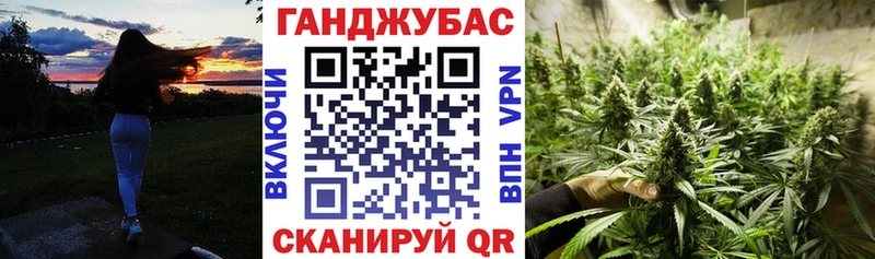Каннабис сатива Шадринск